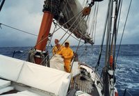 Cariad stormy058.jpg