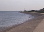 Cianes Noa.jpg