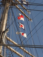 ポン丸UW1.jpg