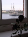 Rose&ship.jpg