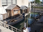 Urayasu paisaje.jpg