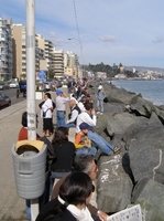 costa de Vina.jpg