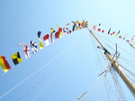 flags.jpg