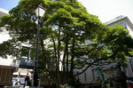 kusu.jpg